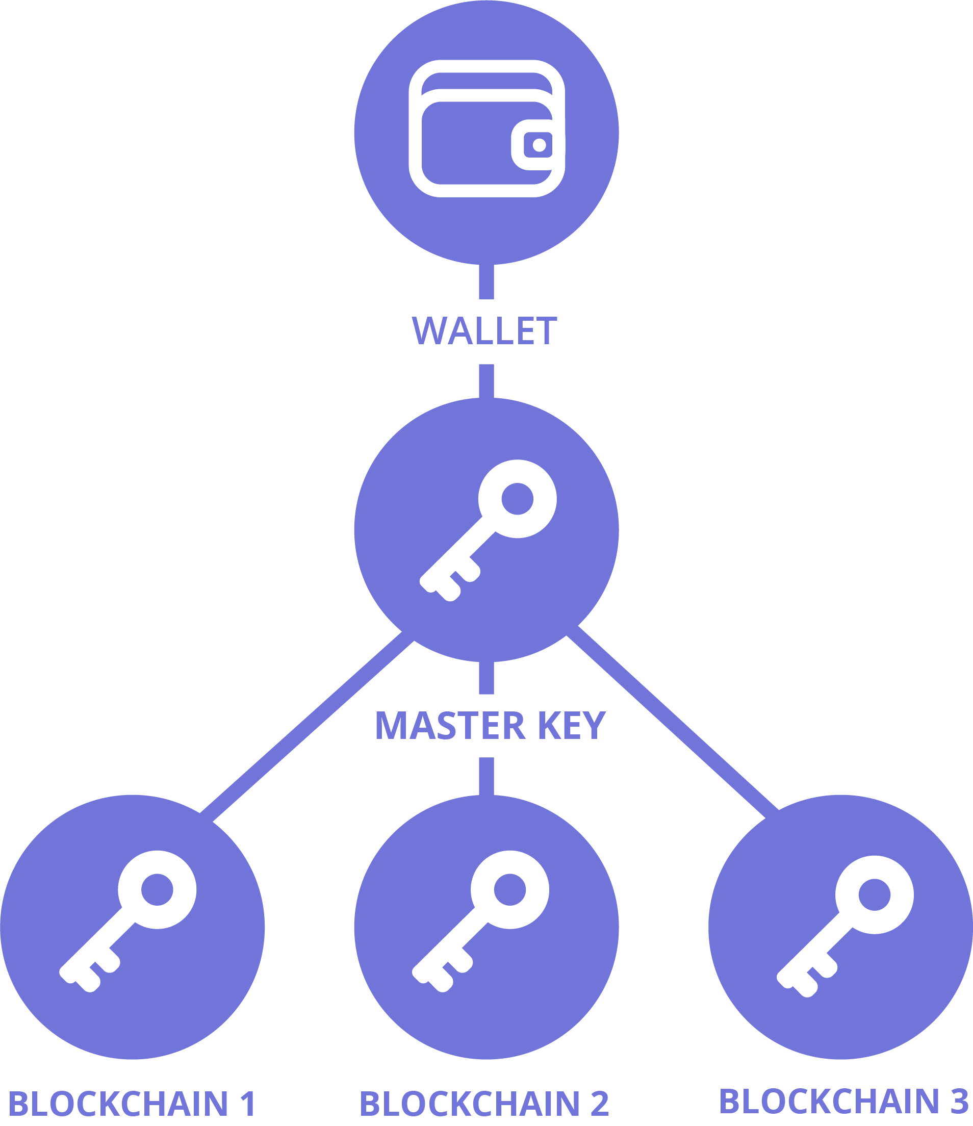Wallet master key